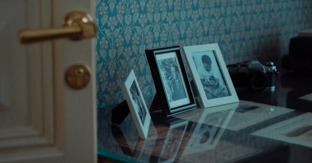 découvrez notre porte battante en verre, alliant design moderne et fonctionnalité pour sublimer votre intérieur avec élégance et luminosité.